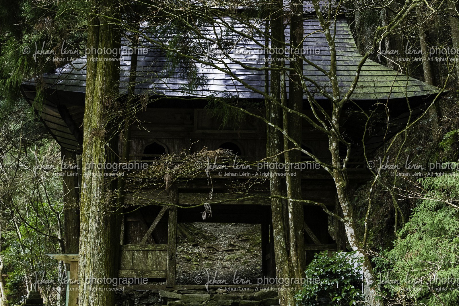 iwayaji_temple-45_shikoku_japon_29-03_2014-3309.jpg