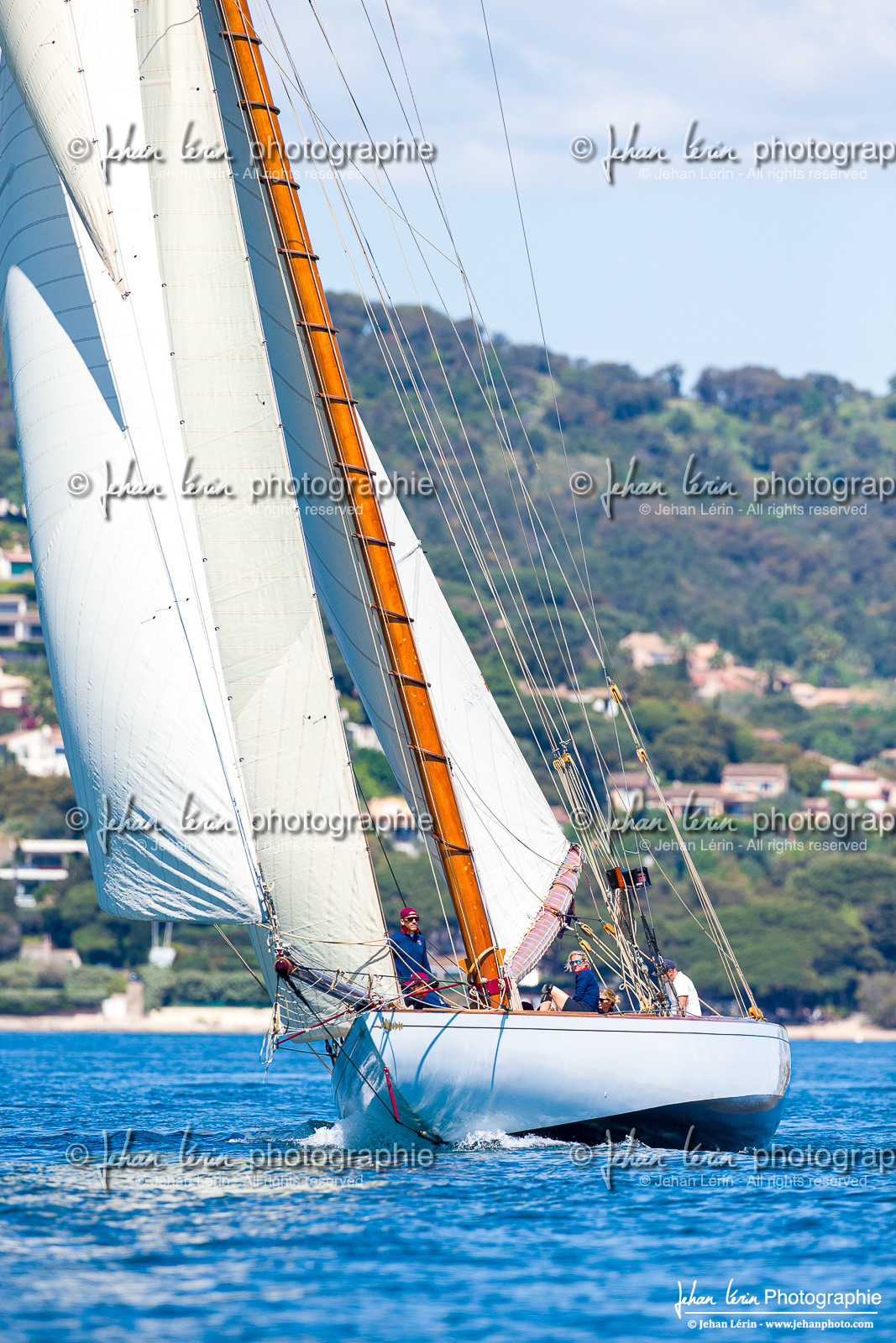 Les Dames de St Tropez 2025 Les Dames de St Tropez 2025