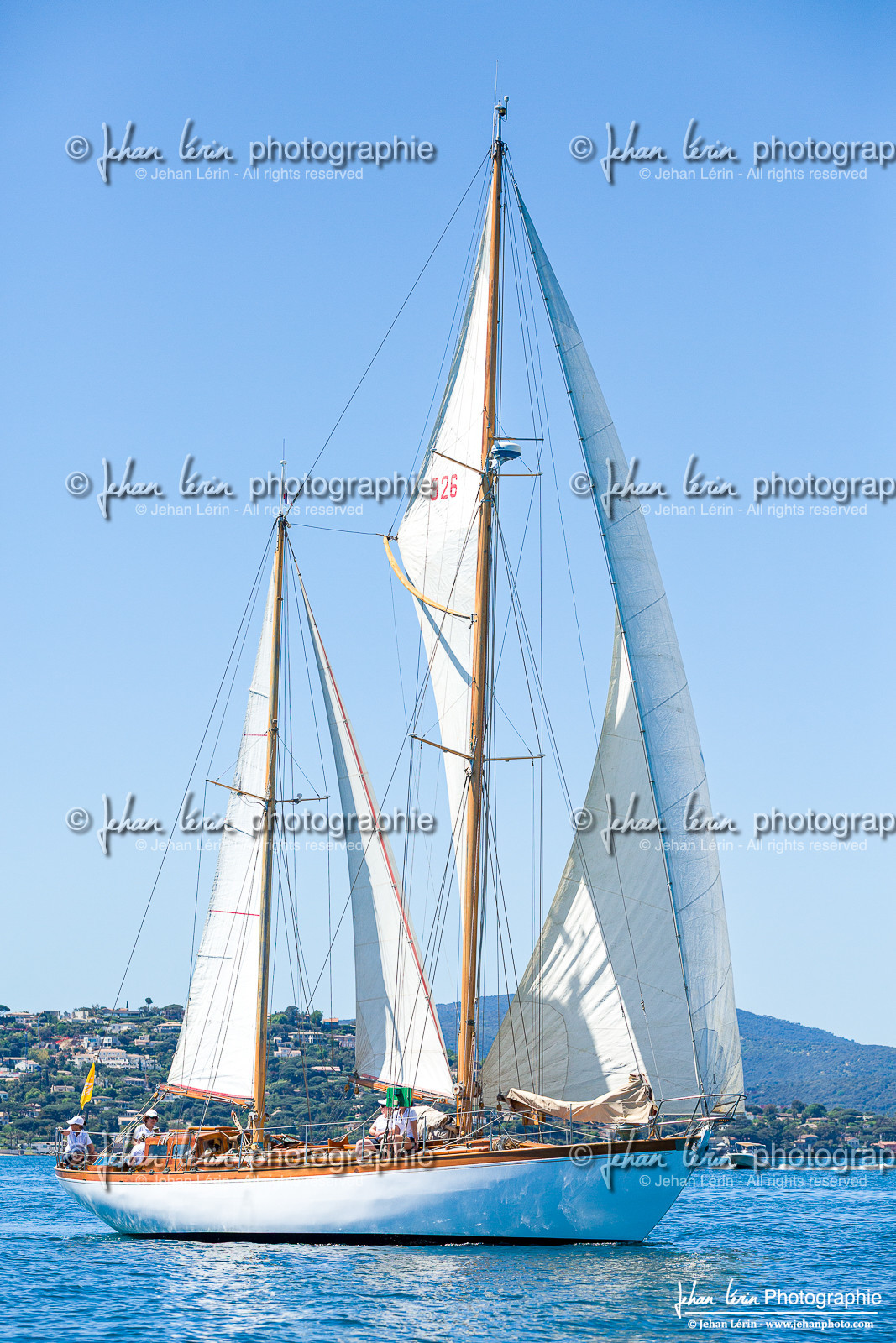 Les Dames de St Tropez 2025 Les Dames de St Tropez 2025