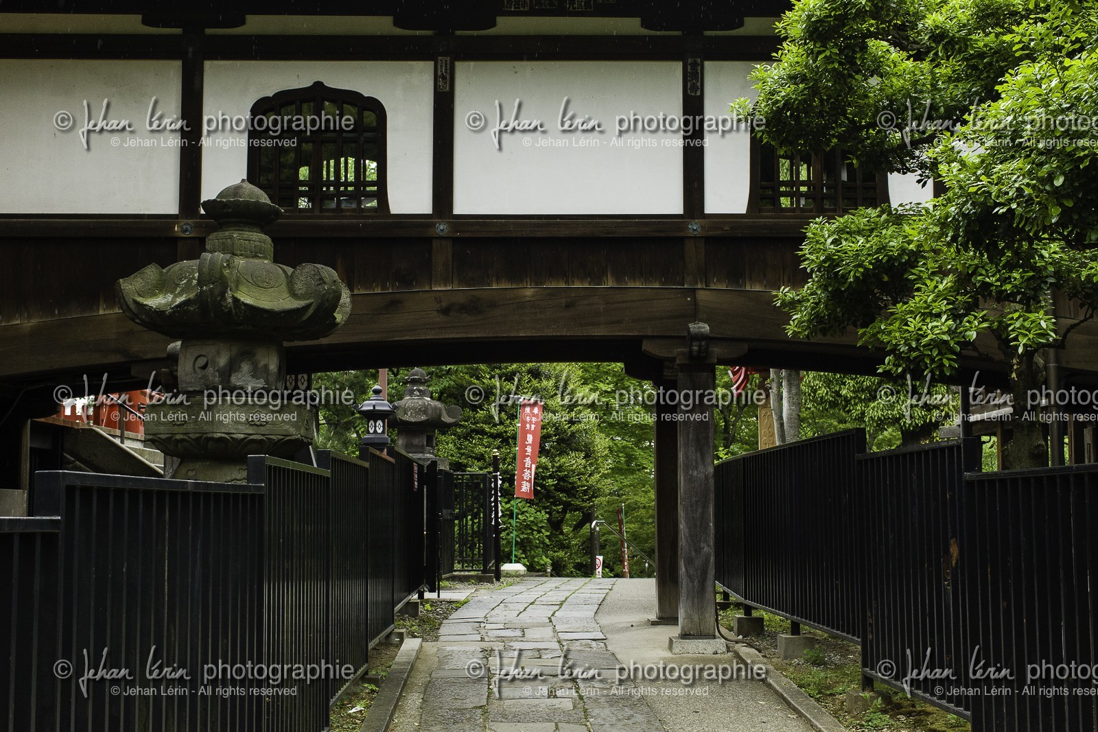 ueno_tokyo_japon_jl_1dx_05-05-2014-6229.jpg