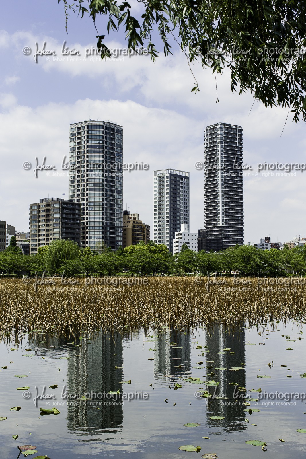 ueno_tokyo_japon_jl_1dx_07-05-2014-6362.jpg