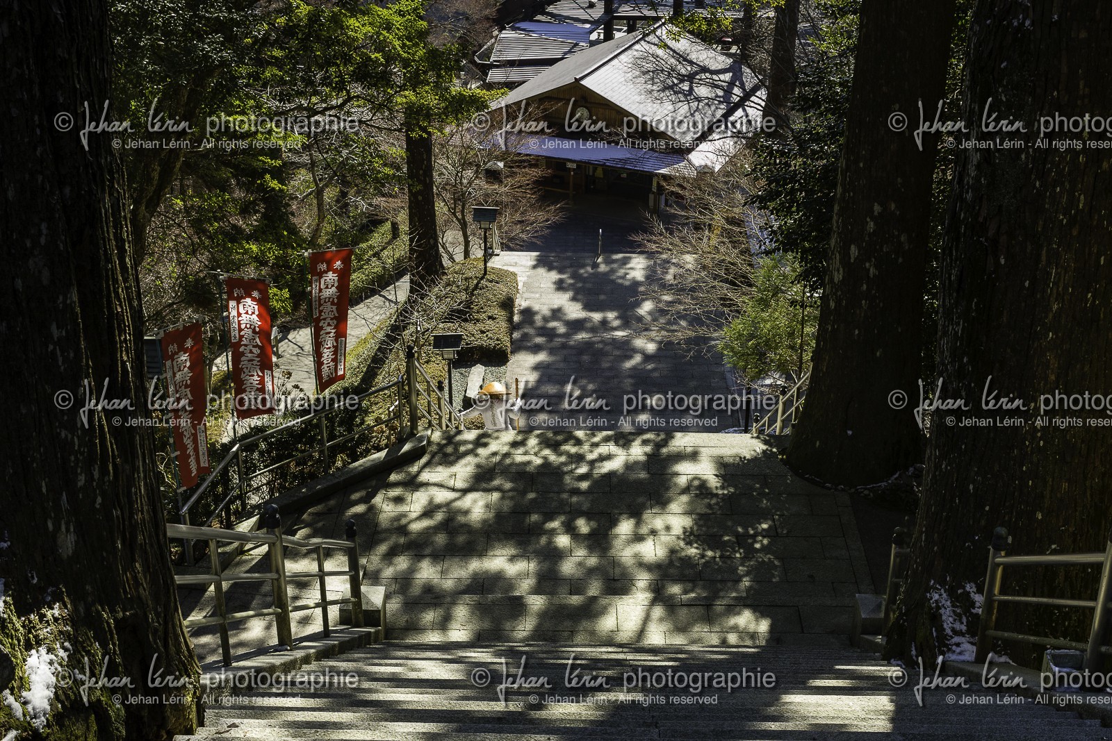 tairyuji_temple-21_shikoku_japon_11-03_2014-2339.jpg