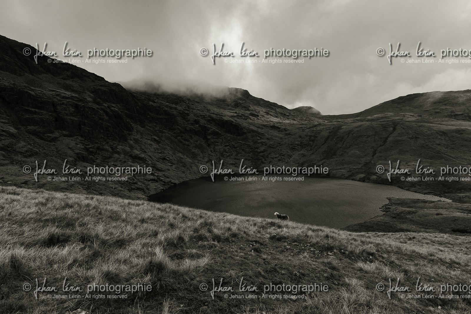 ambleside_lake-district-national-park_uk_oct-2012-2423-2.jpg