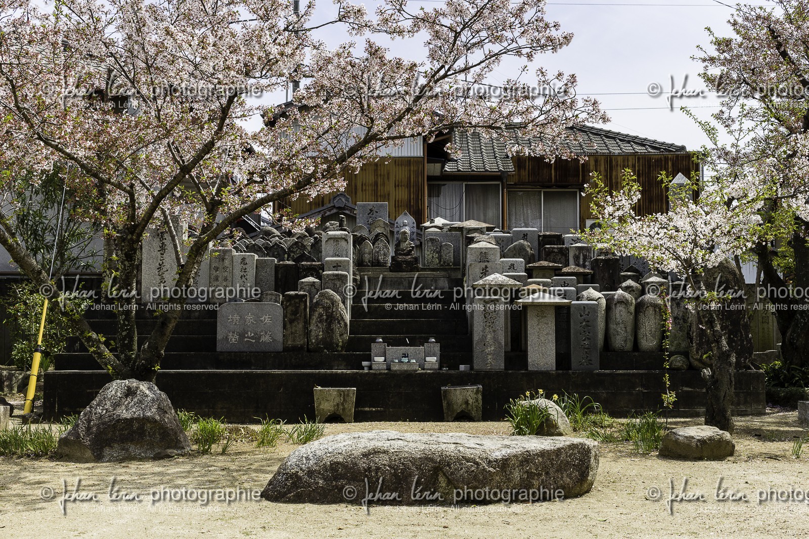 nagaoji_temple-87_shikoku_japon_11-04_2014-4646.jpg