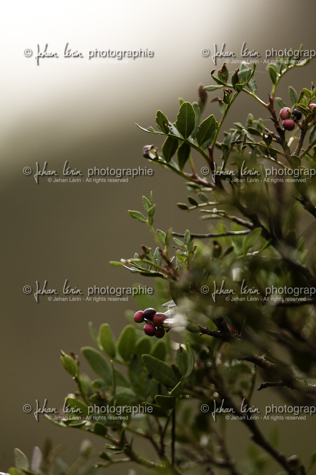racc-spain-2012_ss5-terra-alta_vilbal-dels-arcs_09-11-2012-5119.jpg
