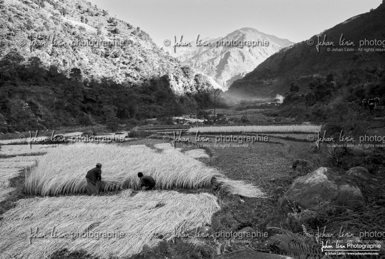 Grand Tour des Annapurnas 2004