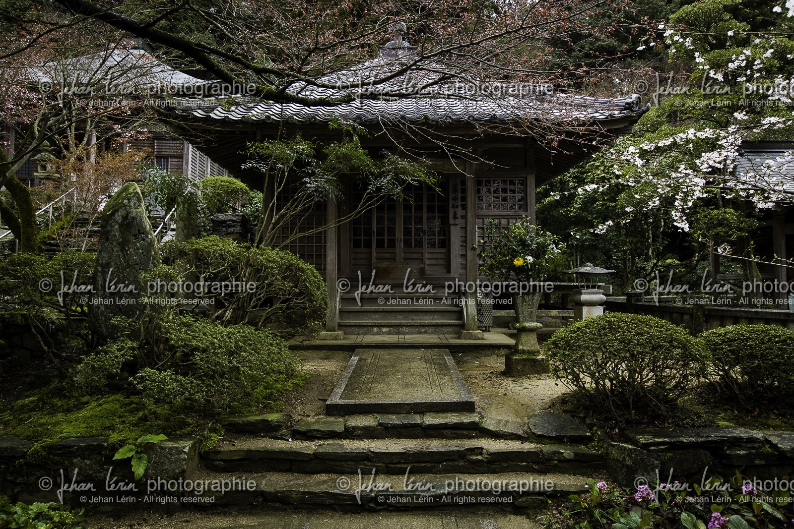 sankakuji_temple-65_shikoku_japon_04-04_2014-0959.jpg