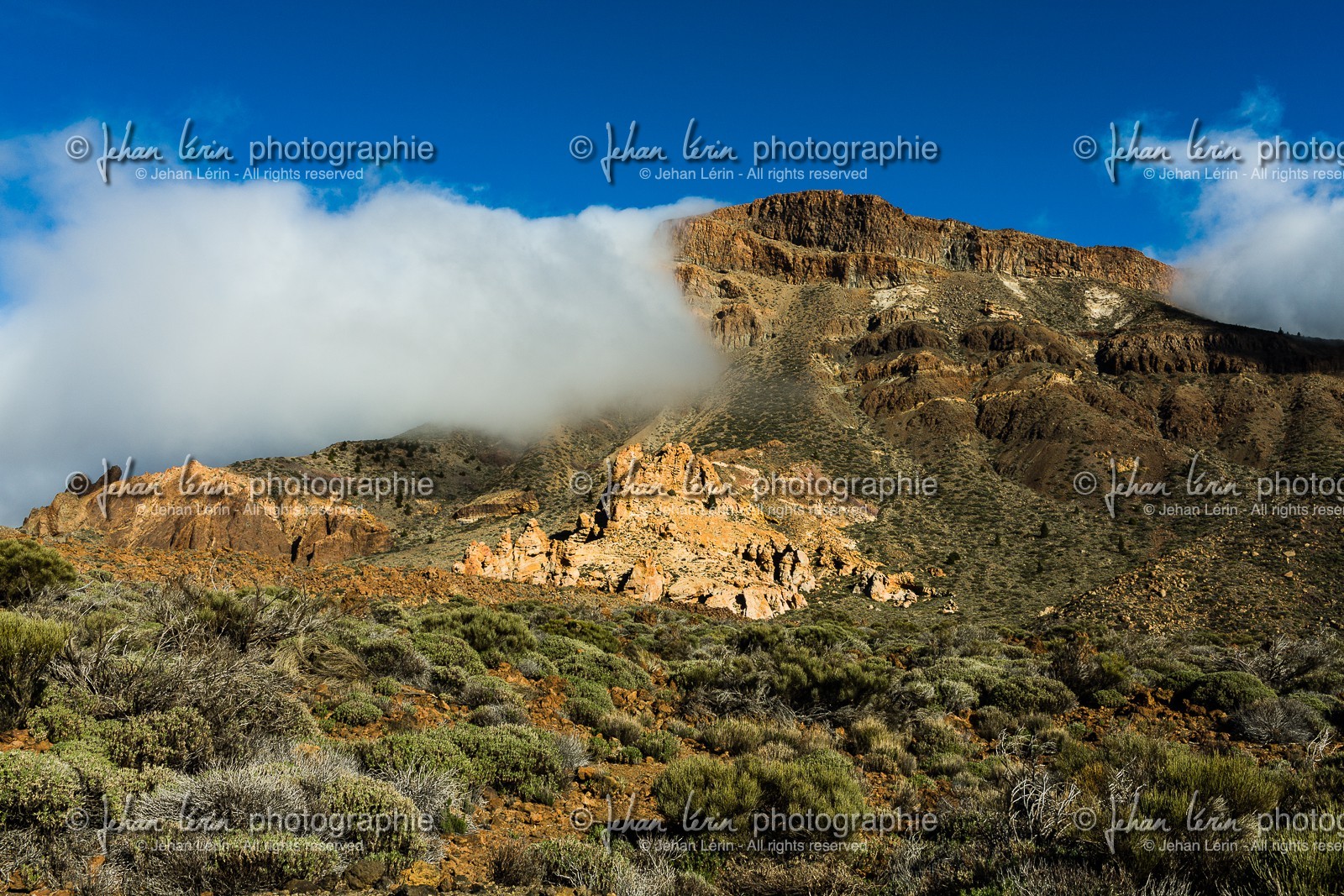 tenerife_mars-2008-0070.jpg