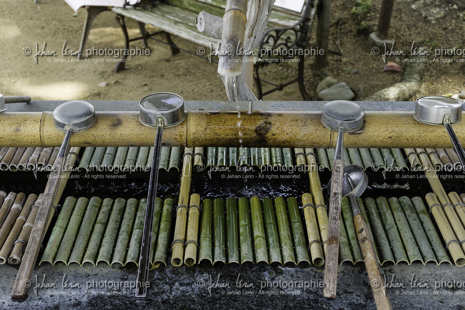 nagaoji_temple-87_shikoku_japon_11-04_2014-4652.jpg