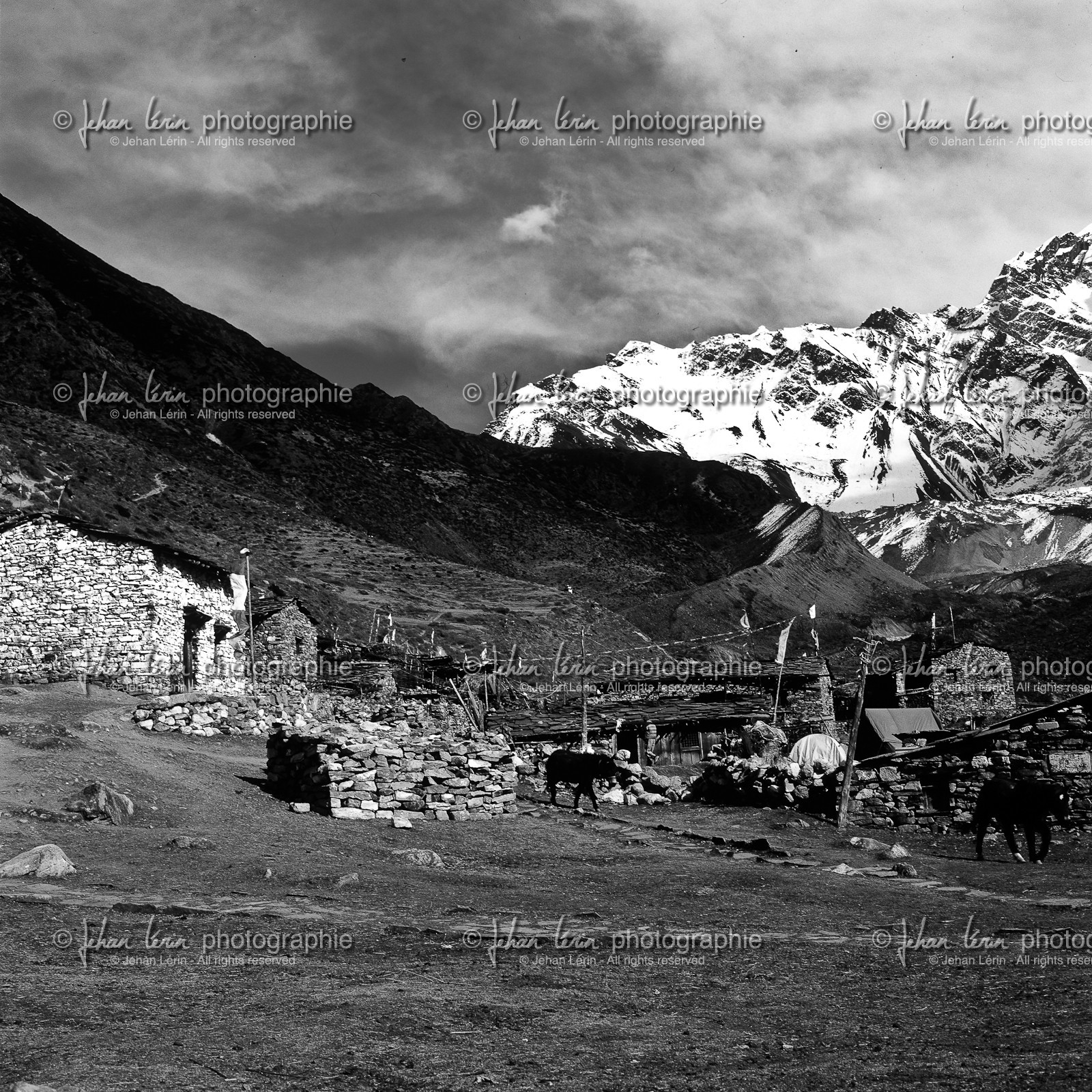 nepalhd-color-_nb-107.jpg