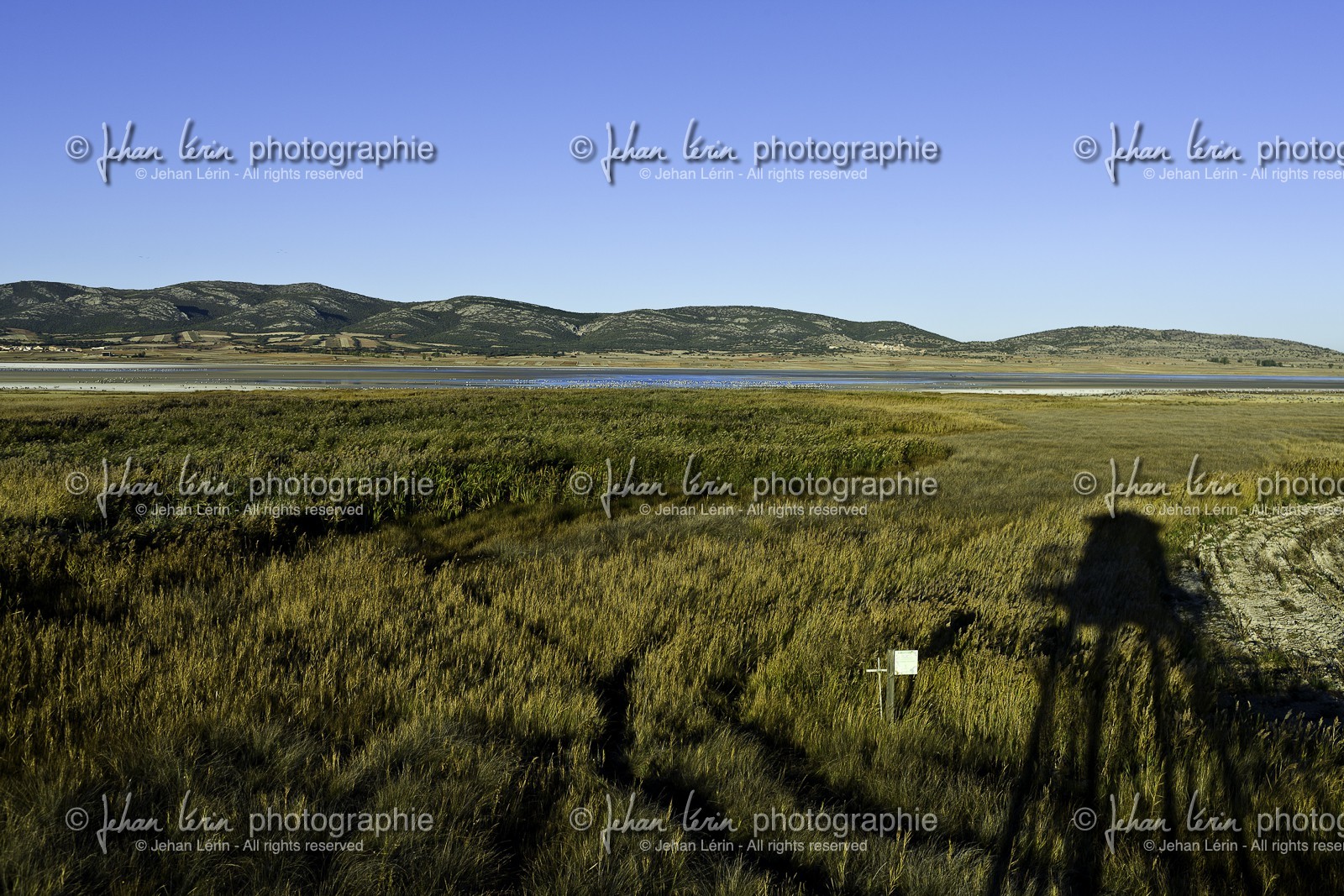 laguna-de-gallocanta_15-10-2009-5850.jpg