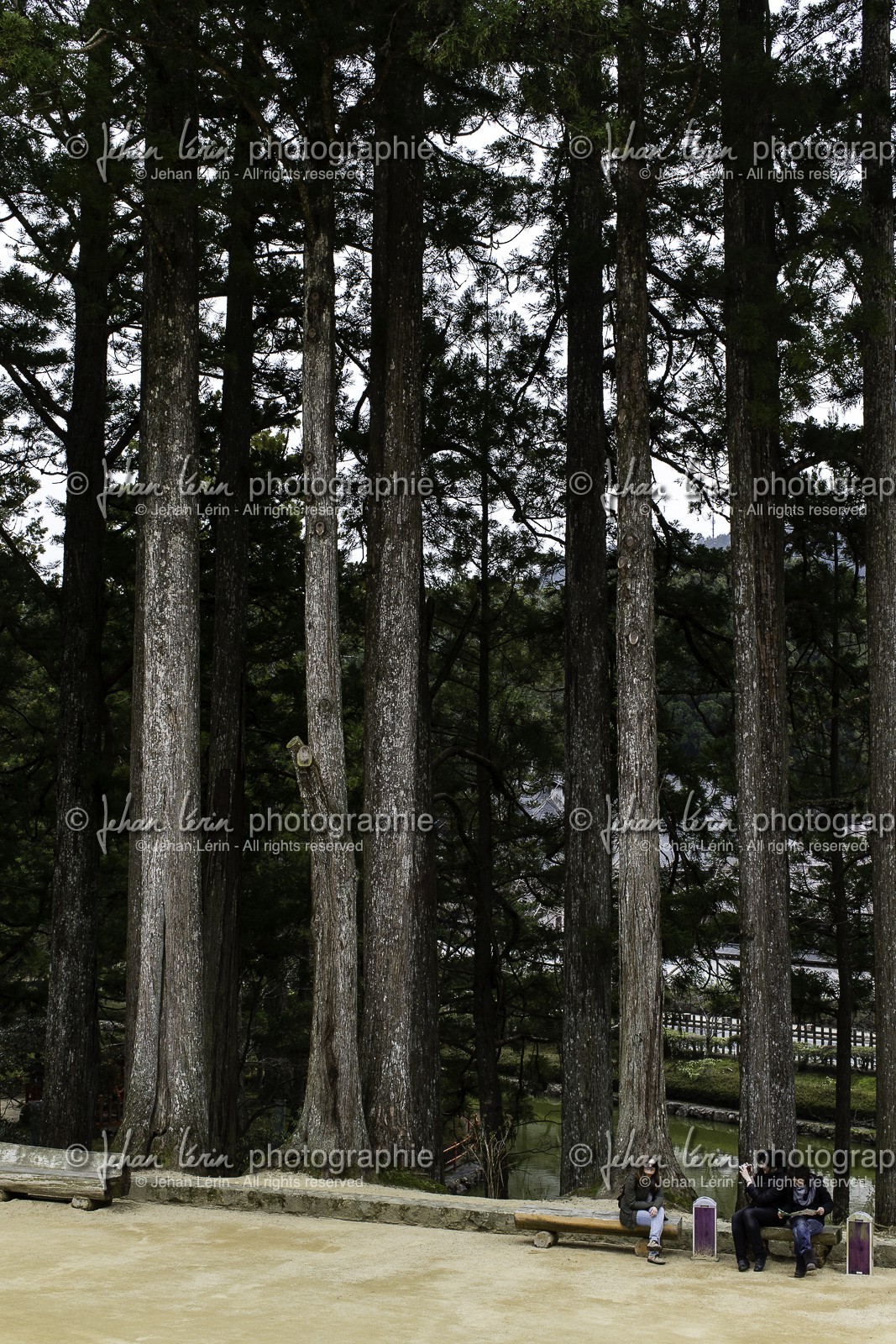 koyasan_japon_jl_1dx_16-04-2014-5117.jpg