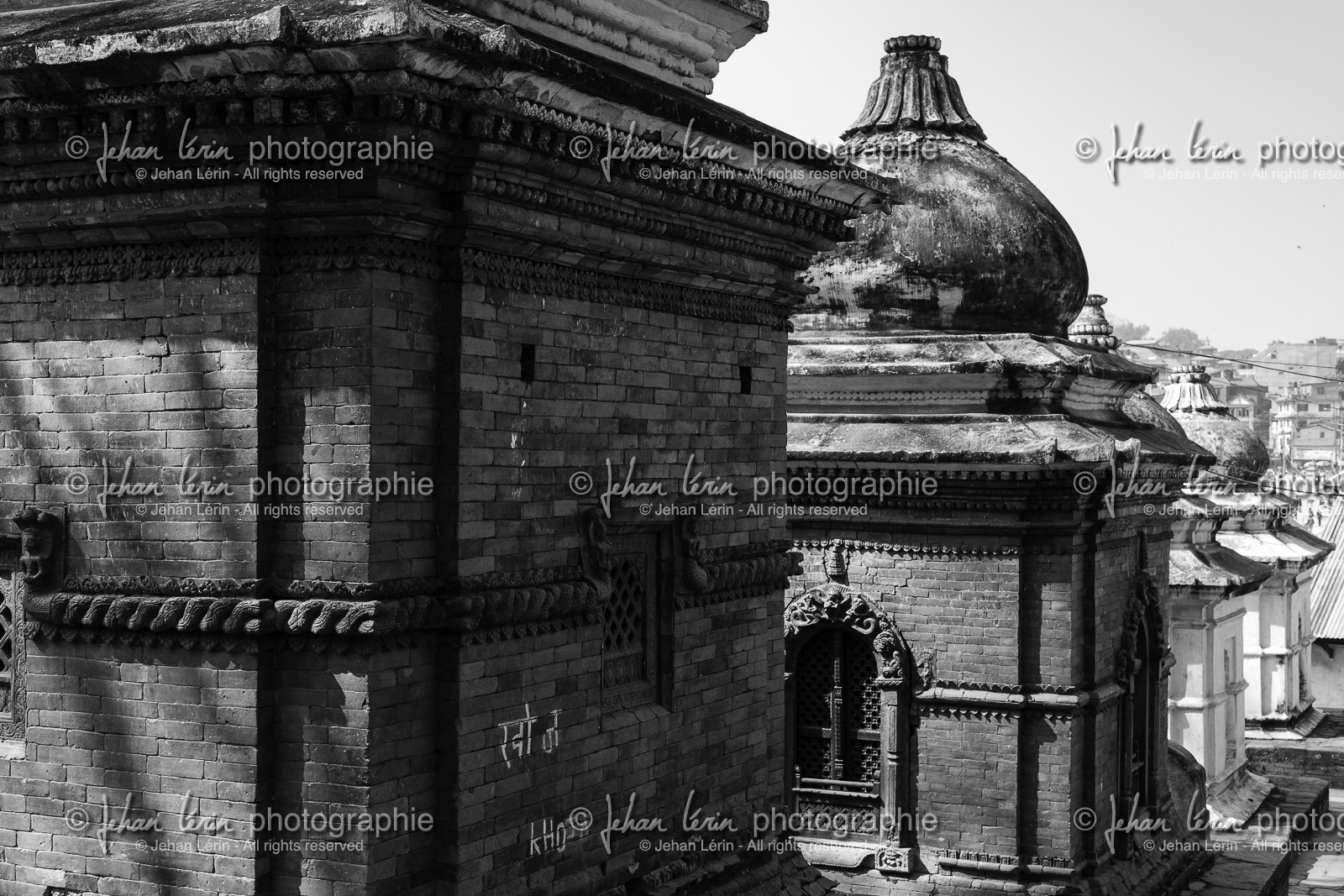 nepal_kathmandu_pashupatinath_10-02-2013-36310.jpg