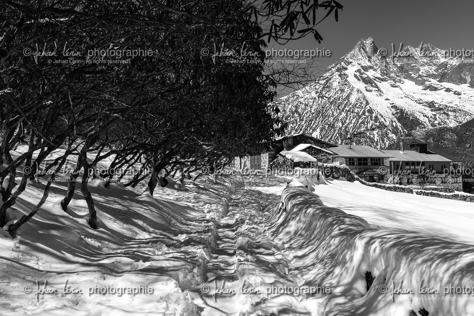nepal_rolwaling-and-khumbu-area_deboche_22-02-2013-37147.jpg