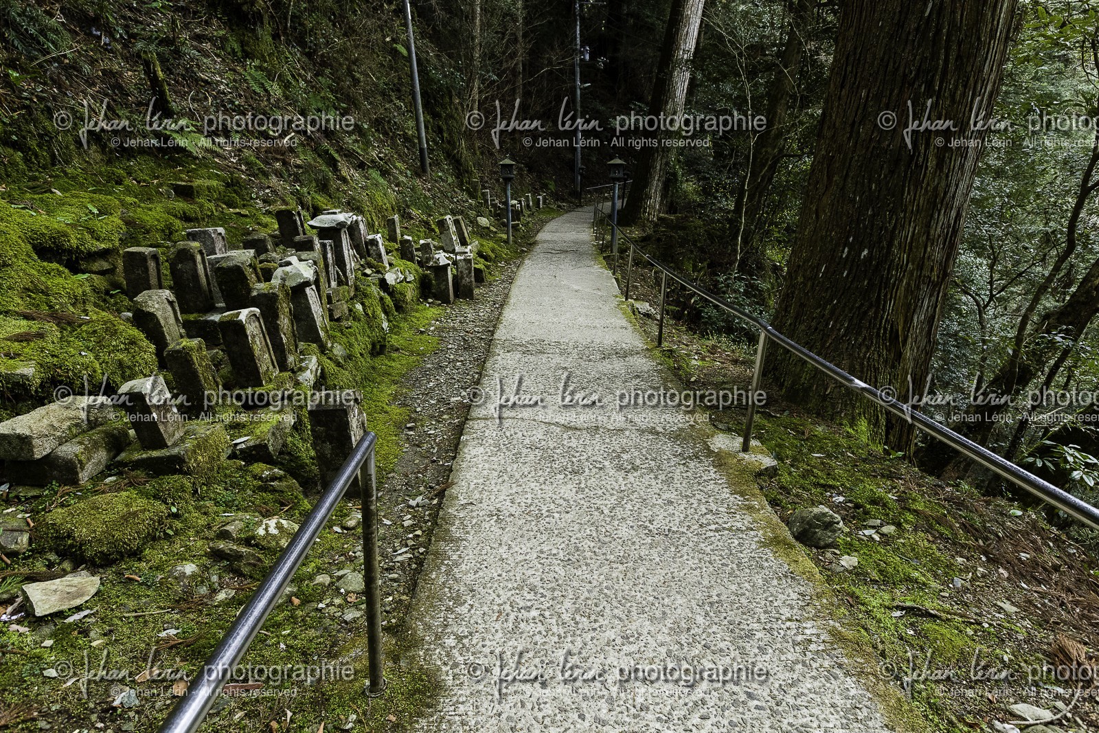 iwayaji_temple-45_shikoku_japon_29-03_2014-0660.jpg