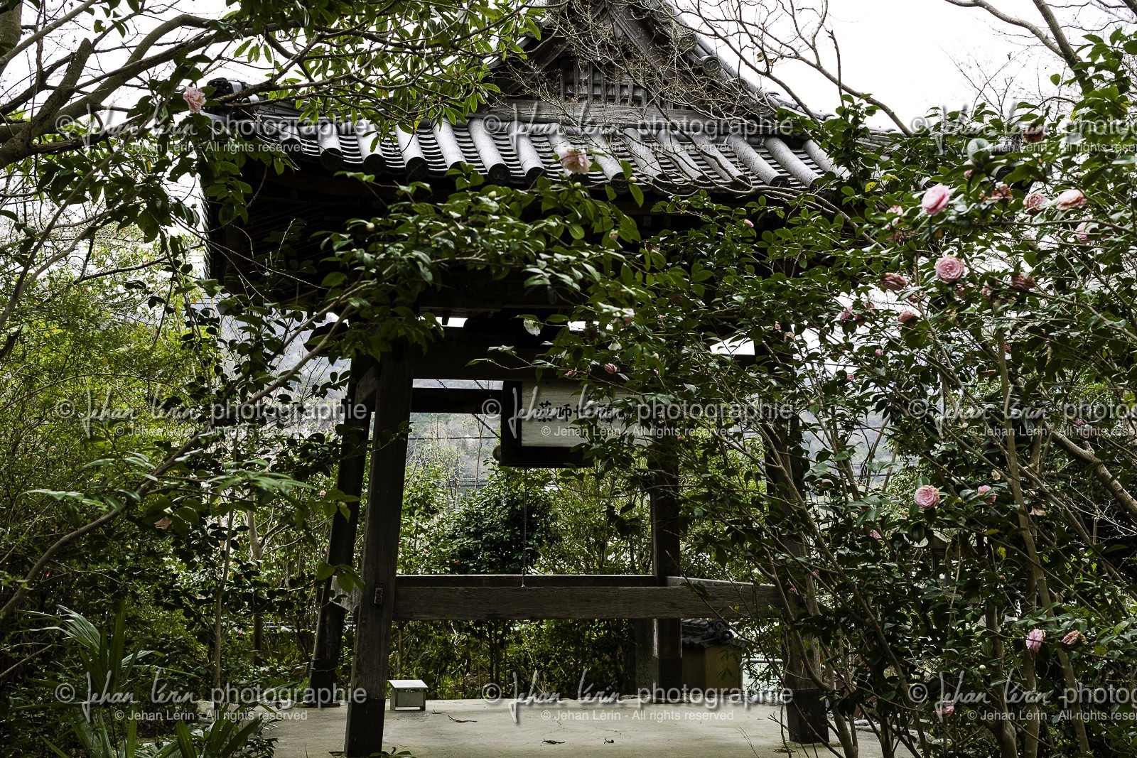 joruriji_temple-46_shikoku_japon_29-03_2014-3329.jpg