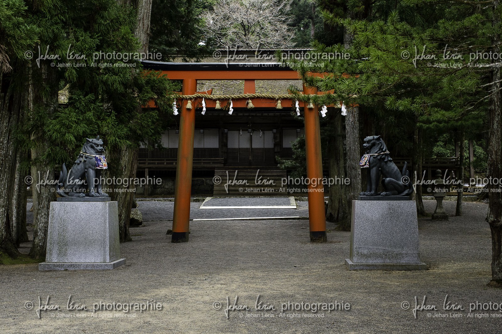koyasan_japon_jl_1dx_16-04-2014-5122.jpg