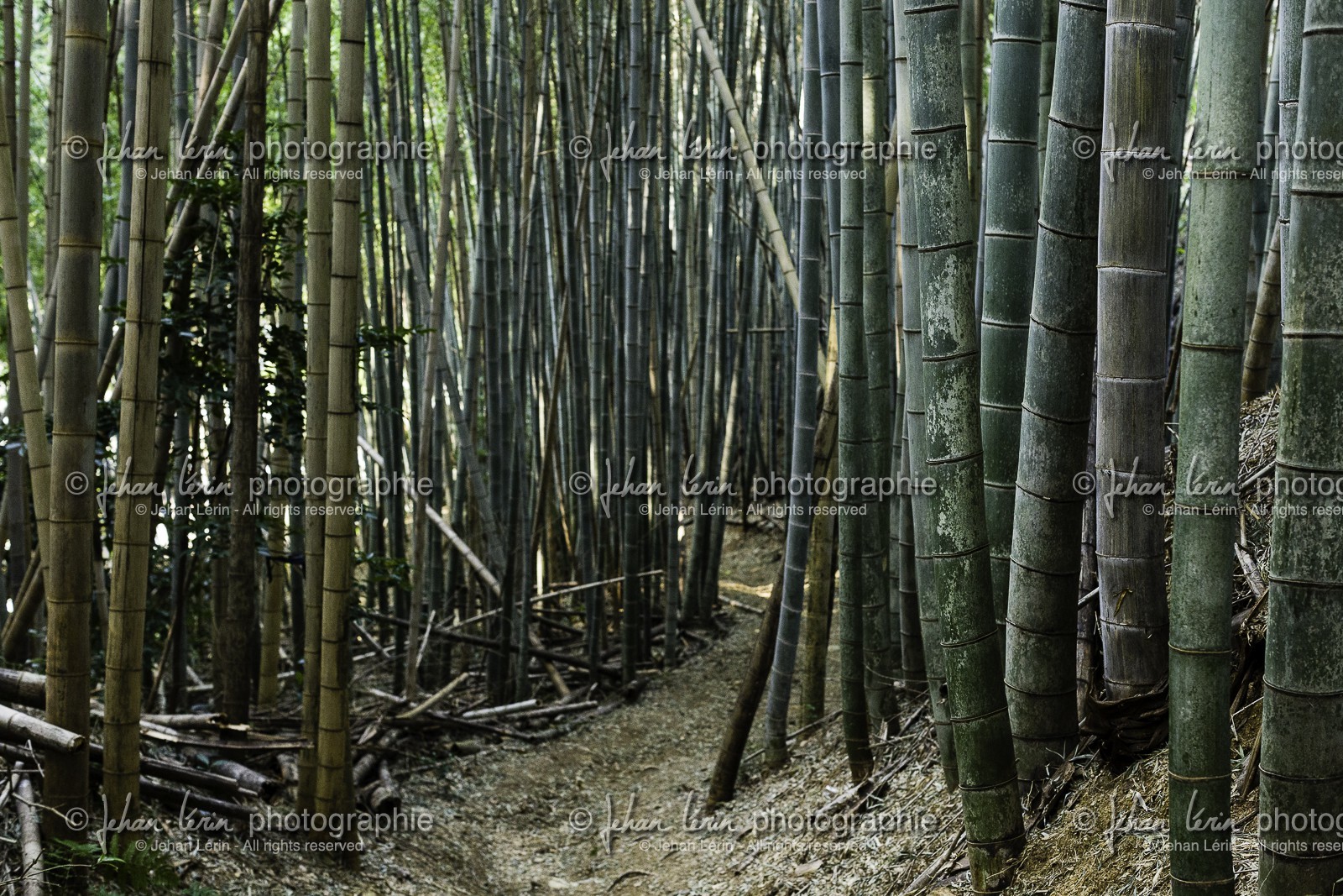 en-route-vers_temple-19_shikoku_japon_09-03_2014-2192.jpg