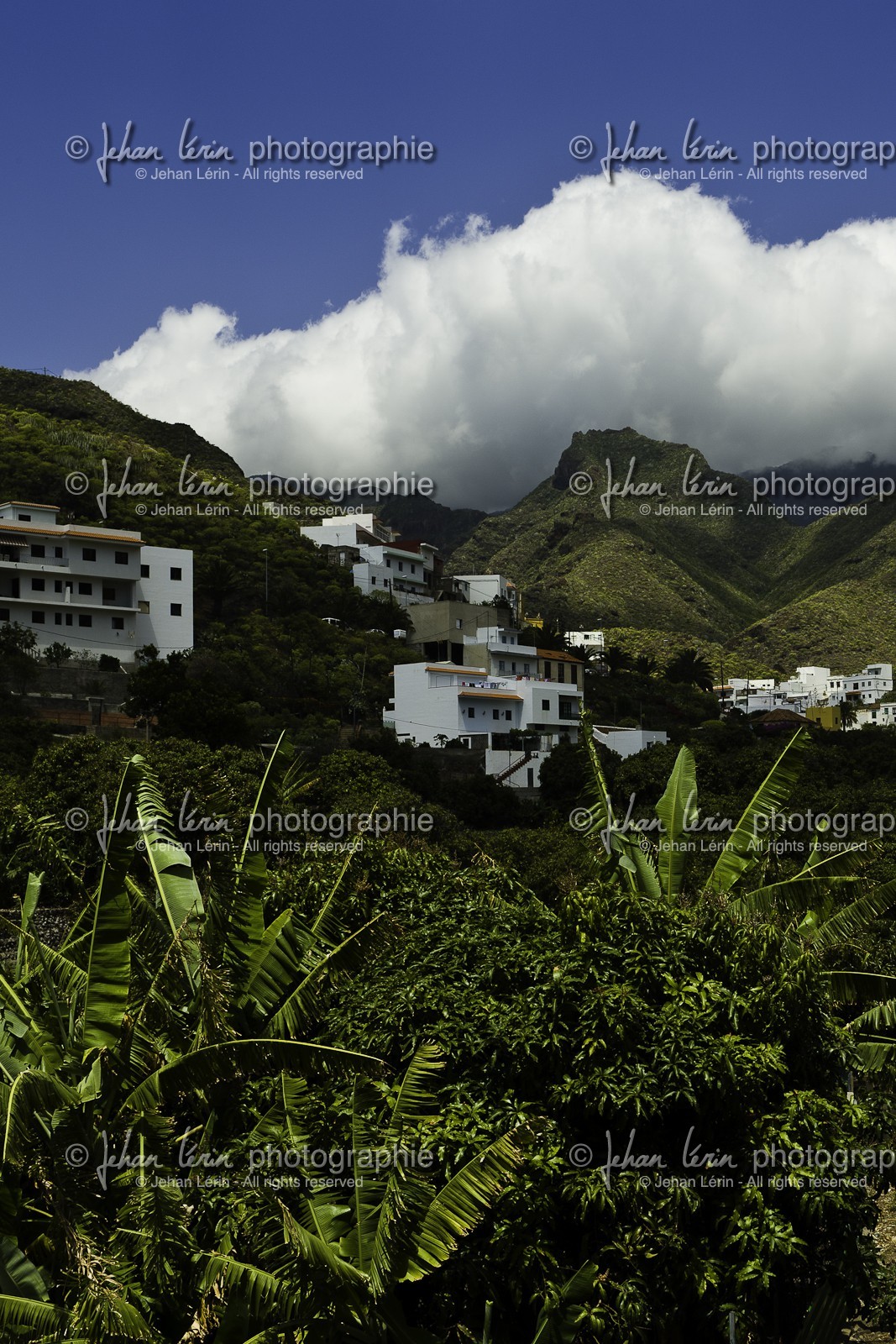 tenerife_avril_2010-0799.jpg