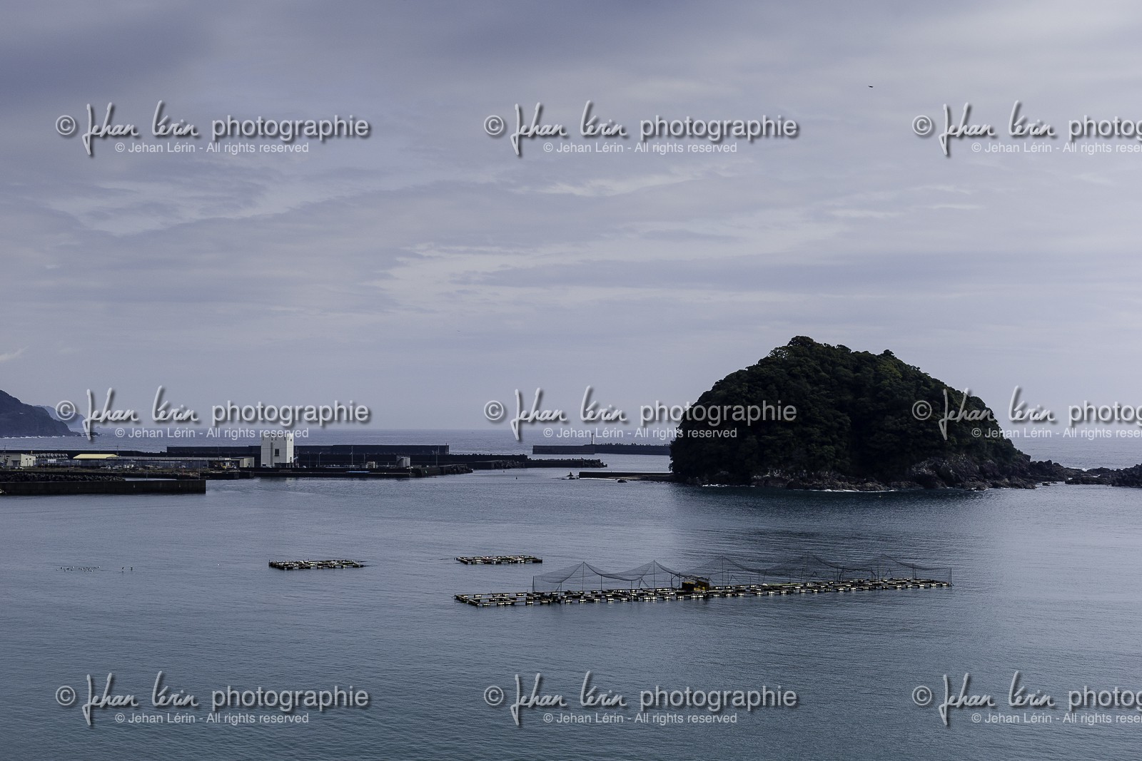 en-route-vers_temple-38_shikoku_japon_20-03_2014-2938.jpg