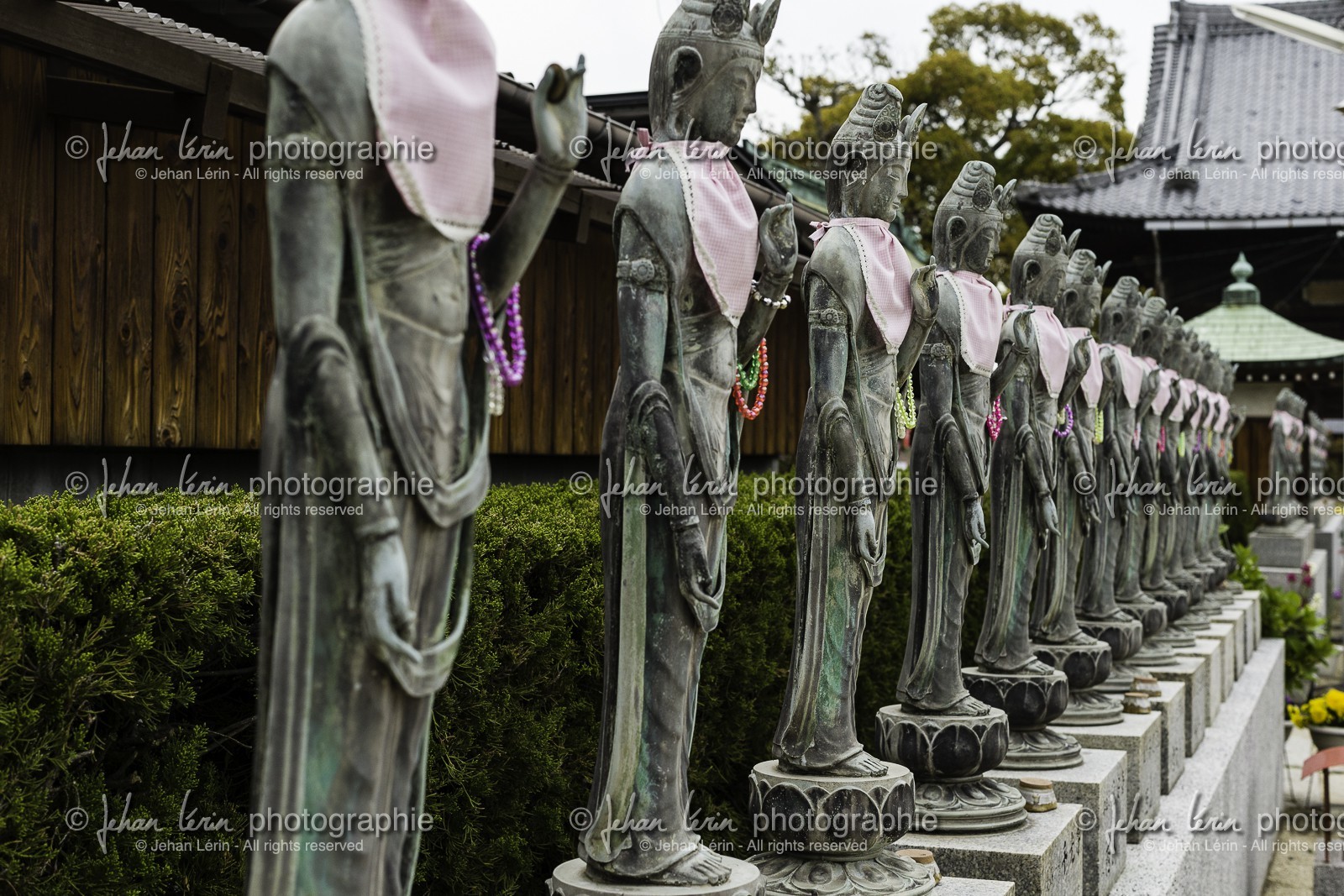 doryuji_temple-77_shikoku_japon_07-04_2014-4260.jpg