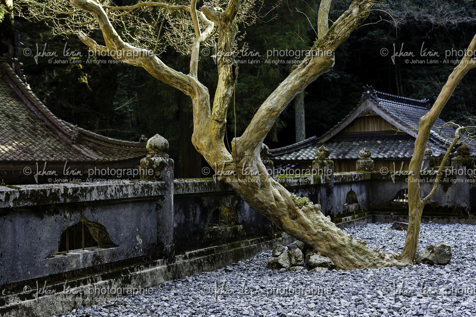 meisekiji_temple-43_shikoku_japon_27-03_2014-3250.jpg