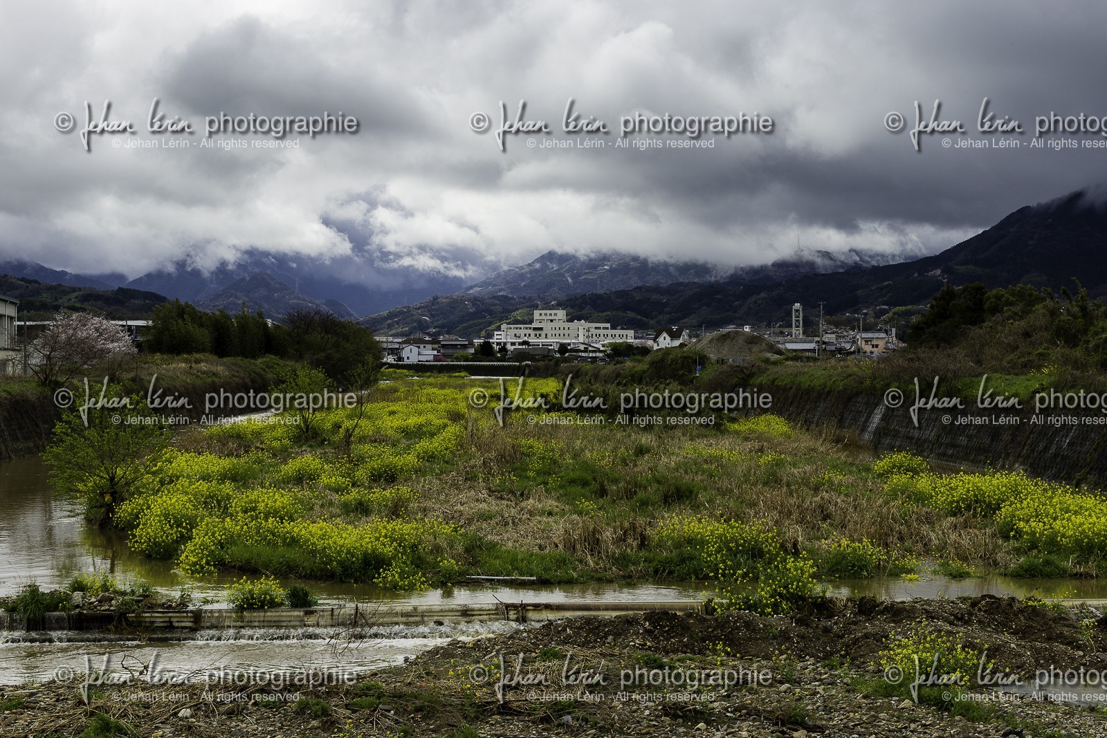 en-route-vers_temple-48_shikoku_japon_30-03_2014-3396.jpg
