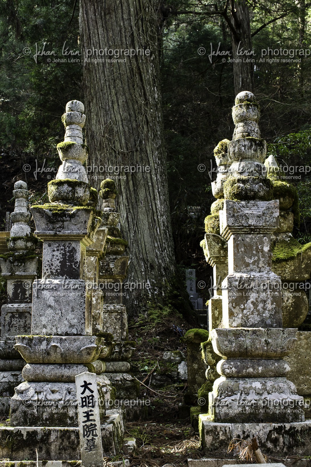 koyasan_japon_jl_1dx_17-04-2014-5324.jpg