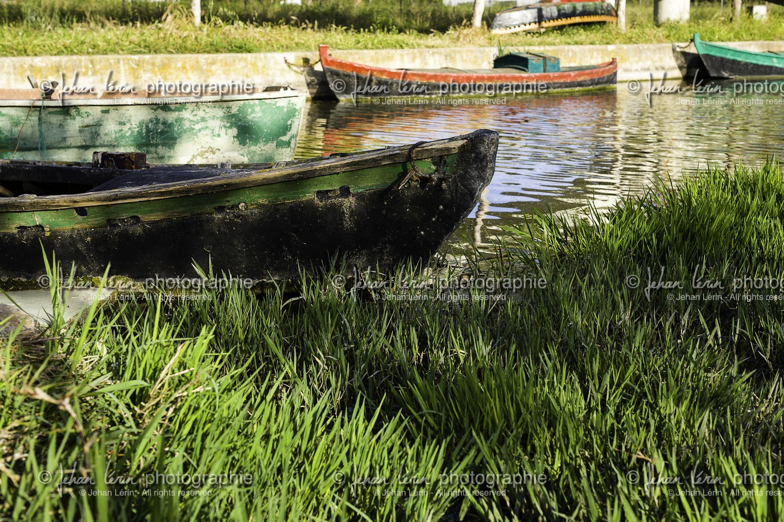 puerto-el-saler_el-saler_comunidad-de-valencia_08-05-2012-0033.jpg