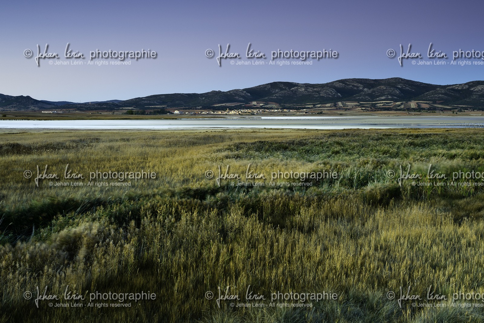 laguna-de-gallocanta_15-10-2009-5916.jpg