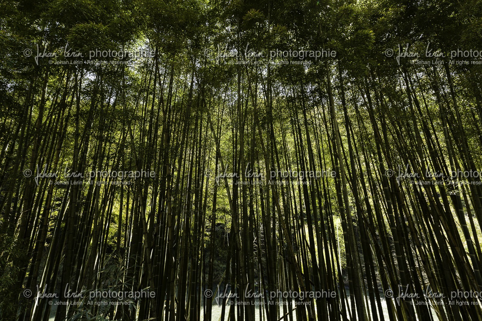 ozu_shikoku_japon_28-03_2014-0639.jpg