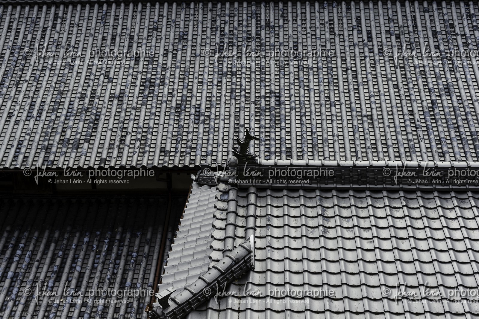 kirihataji_temple-10_shikoku_japon_06-03_2014-1930.jpg