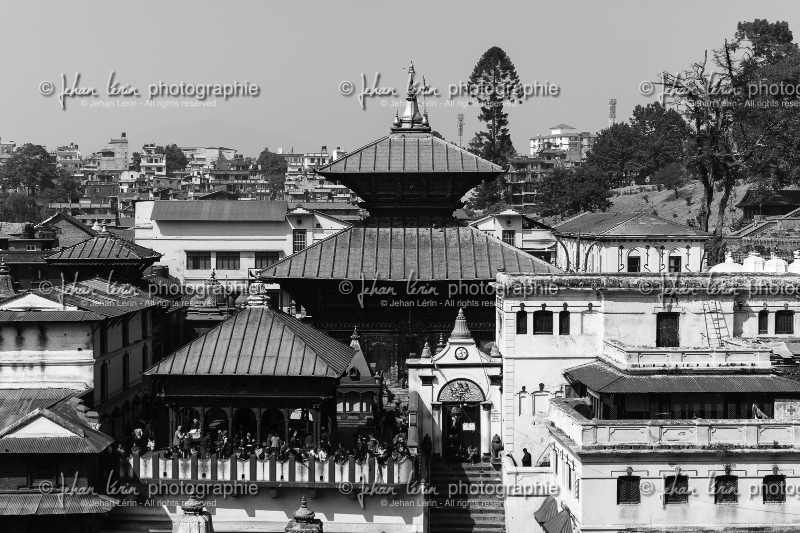 nepal_kathmandu_pashupatinath_10-02-2013-36332.jpg