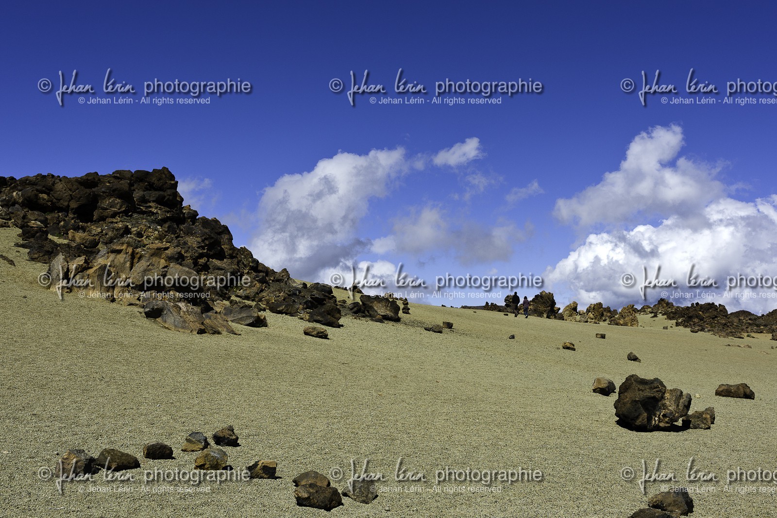 tenerife_avril_2010-1197.jpg
