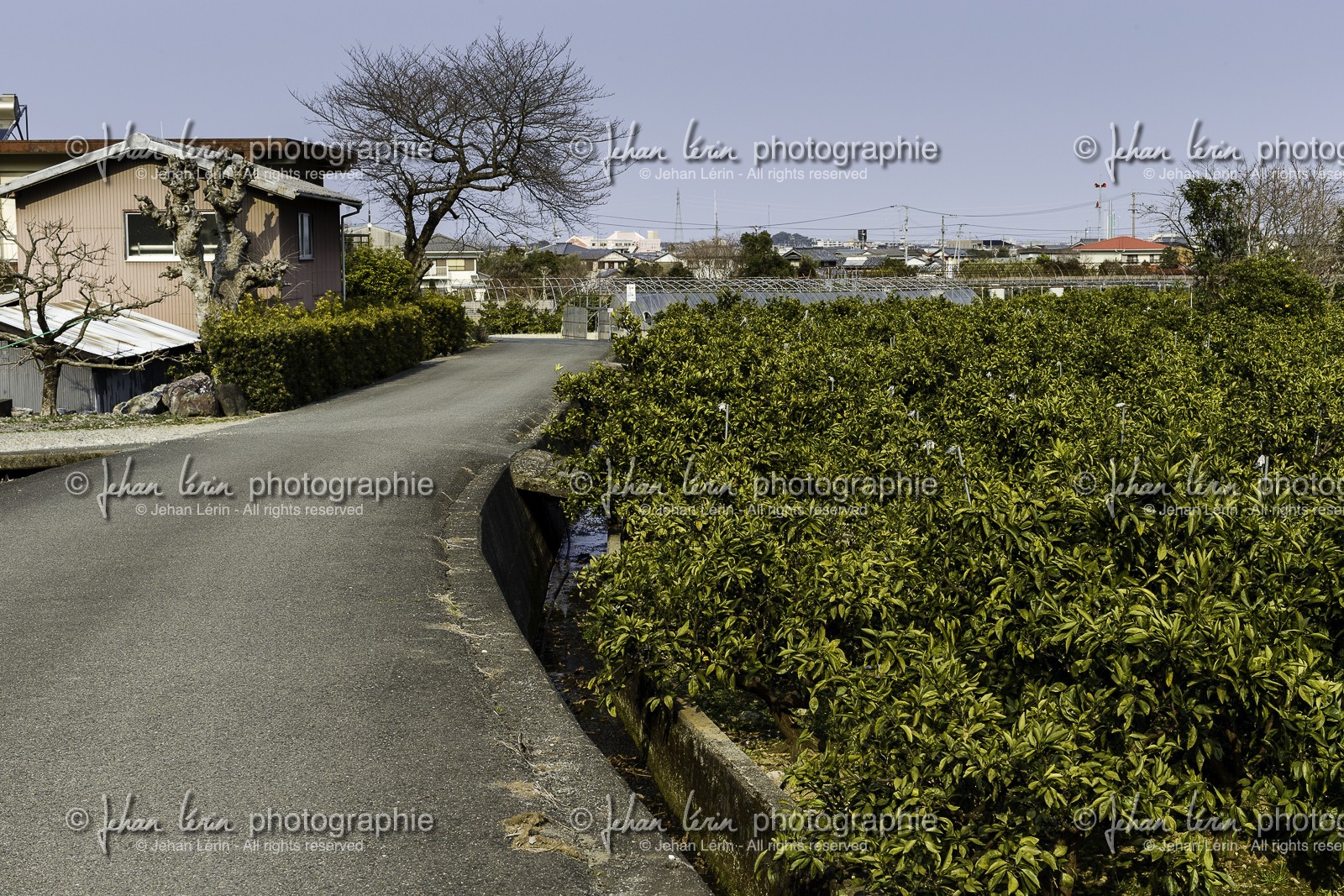 en-route-vers_temple-19_shikoku_japon_09-03_2014-2207.jpg