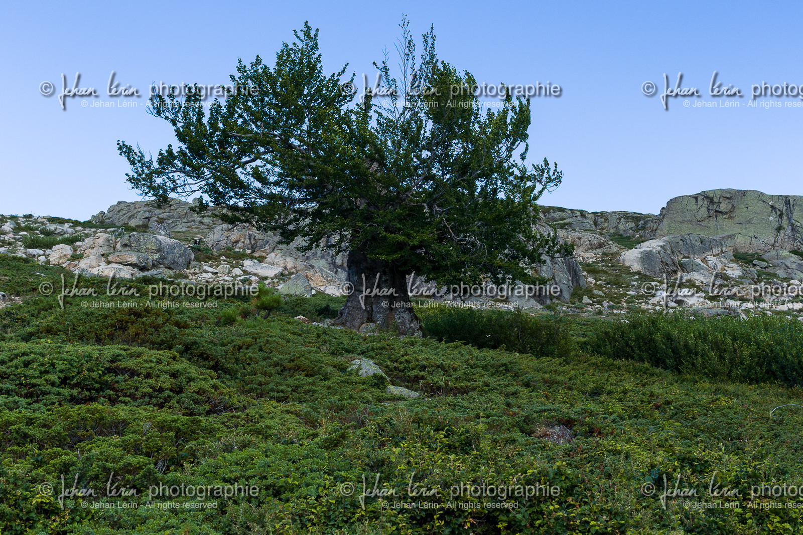 gr20_corse_jl_1dx_25-07-2016-0897.jpg