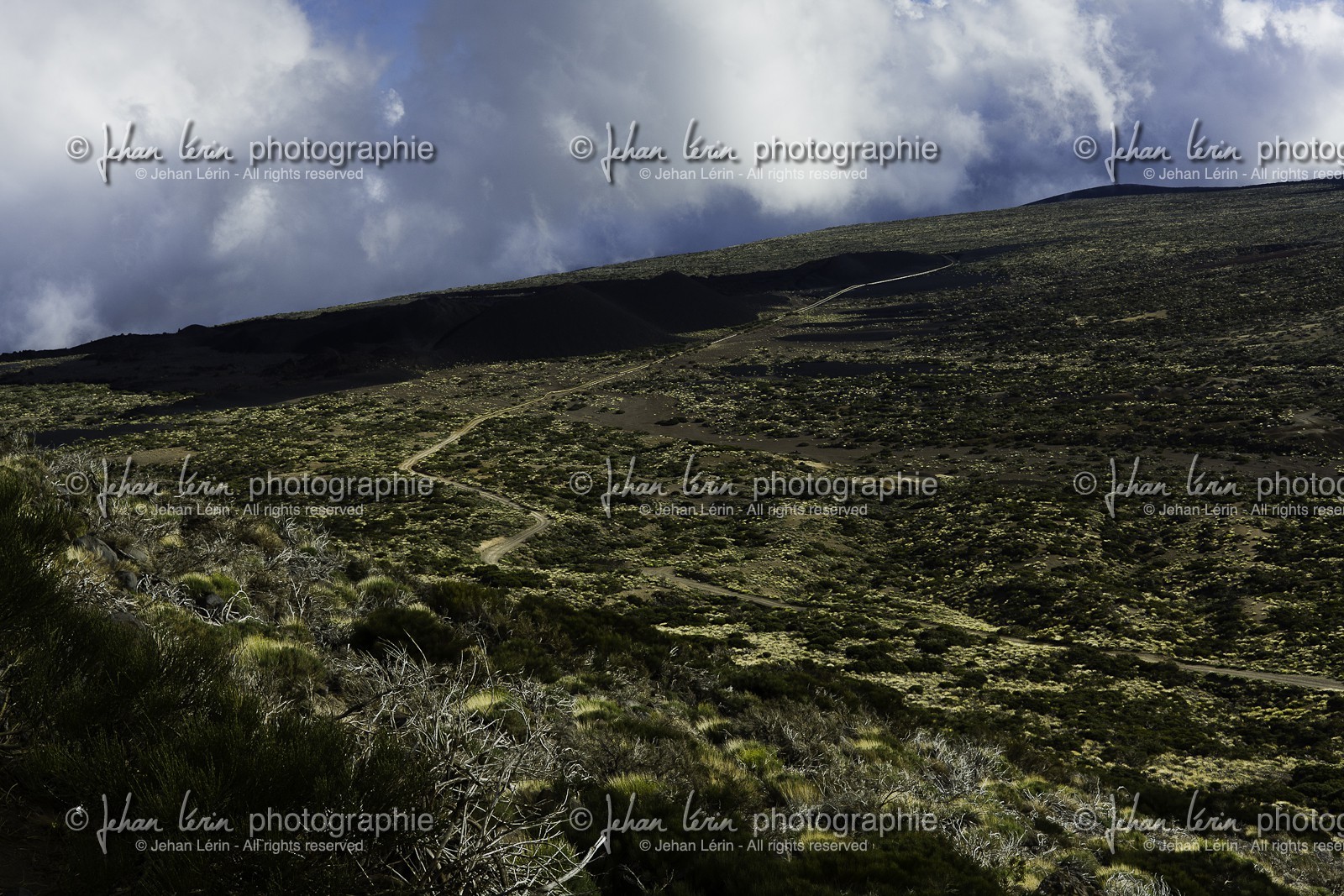 tenerife_avril_2010-1239.jpg