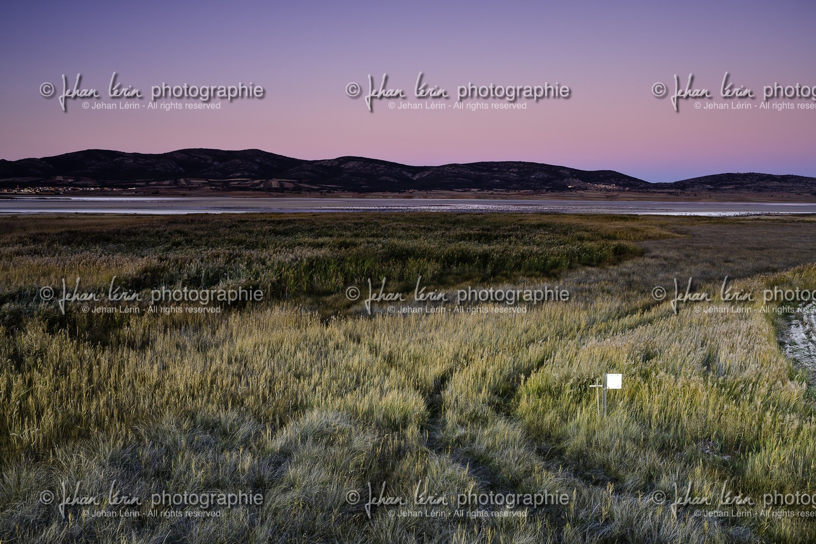 laguna-de-gallocanta_15-10-2009-5909.jpg