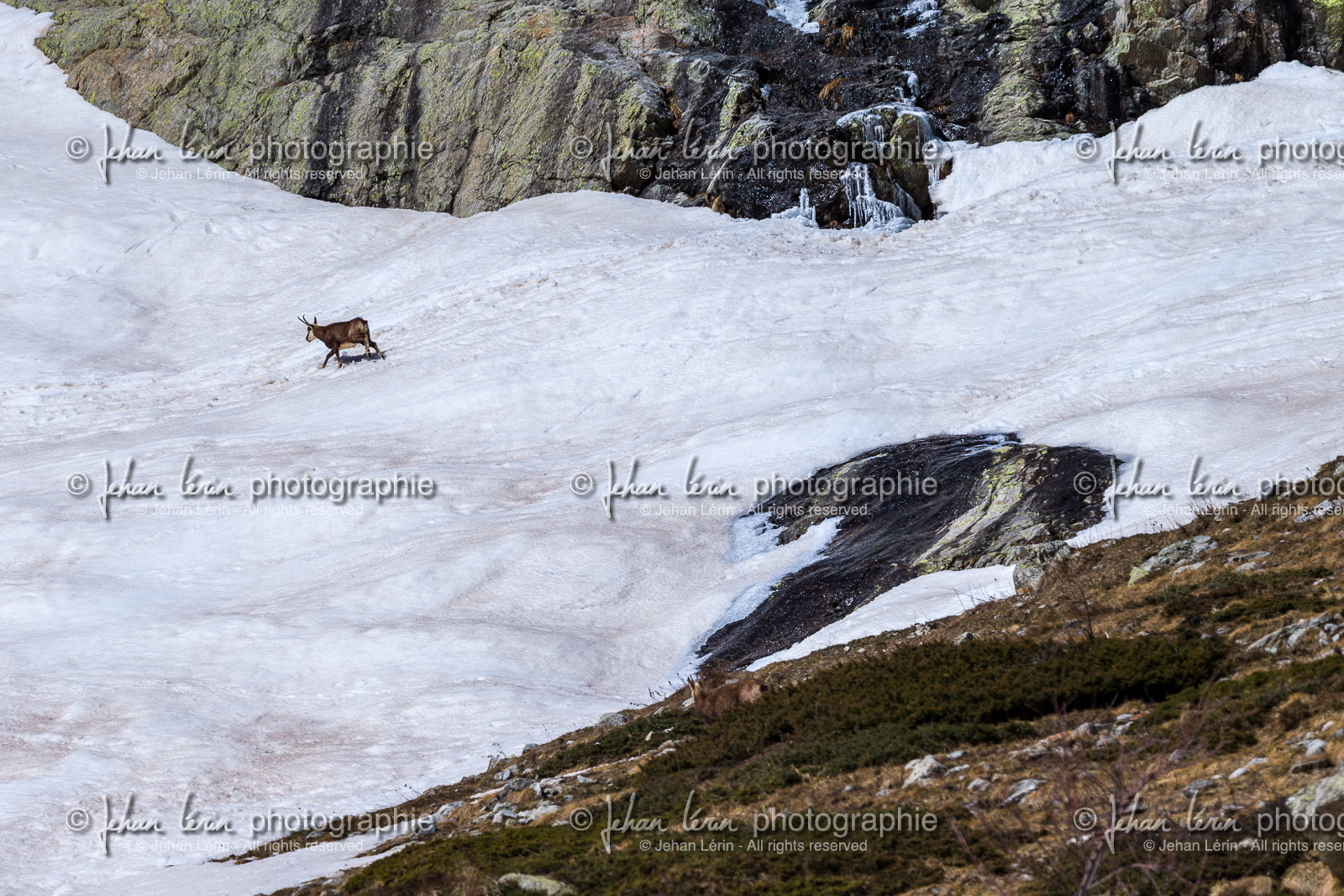 la-gordolasque_mercantour_jl_1dx_15-03-2021-0074.jpg