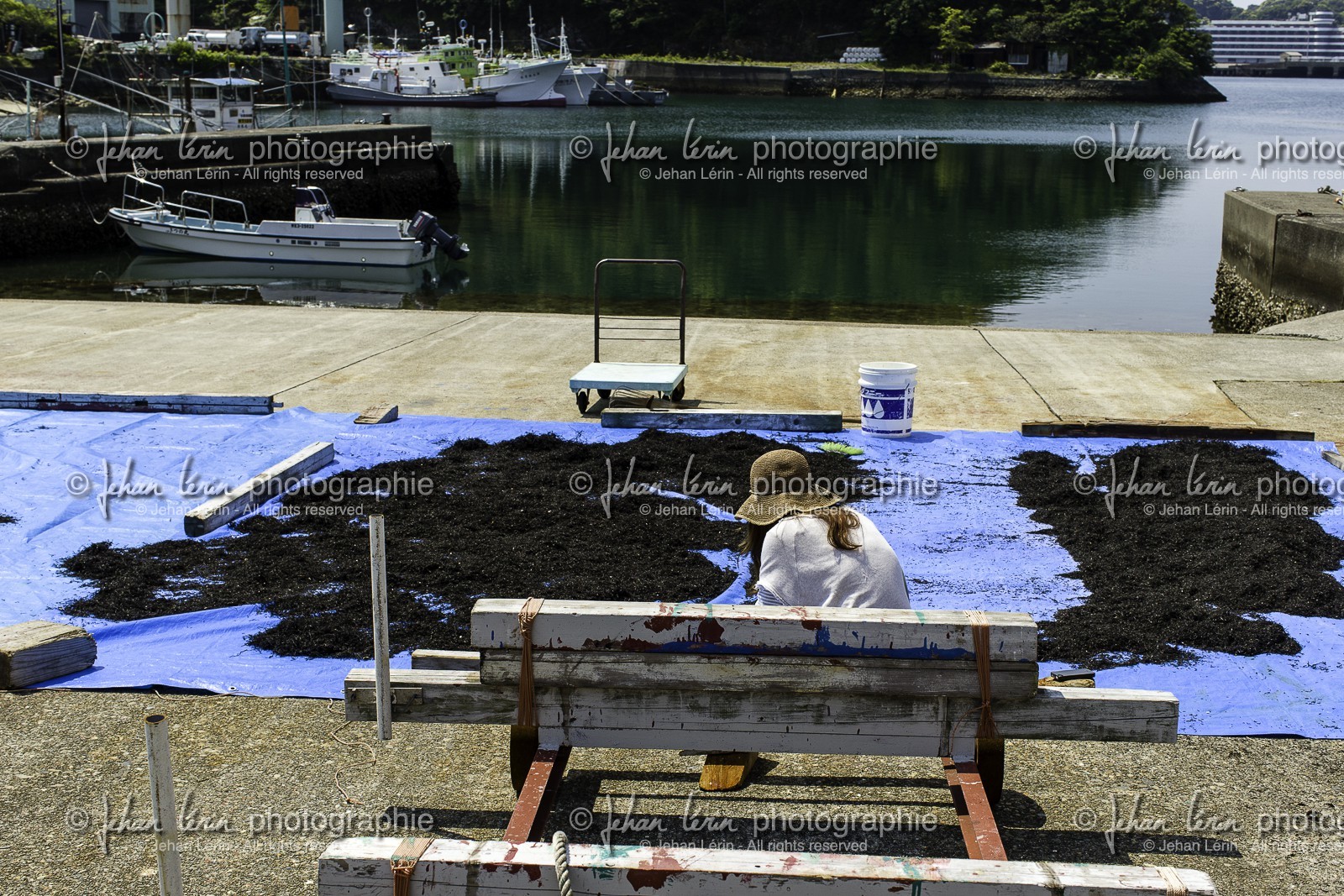 katsuura_kansai_japon_26-04-2014-5744.jpg