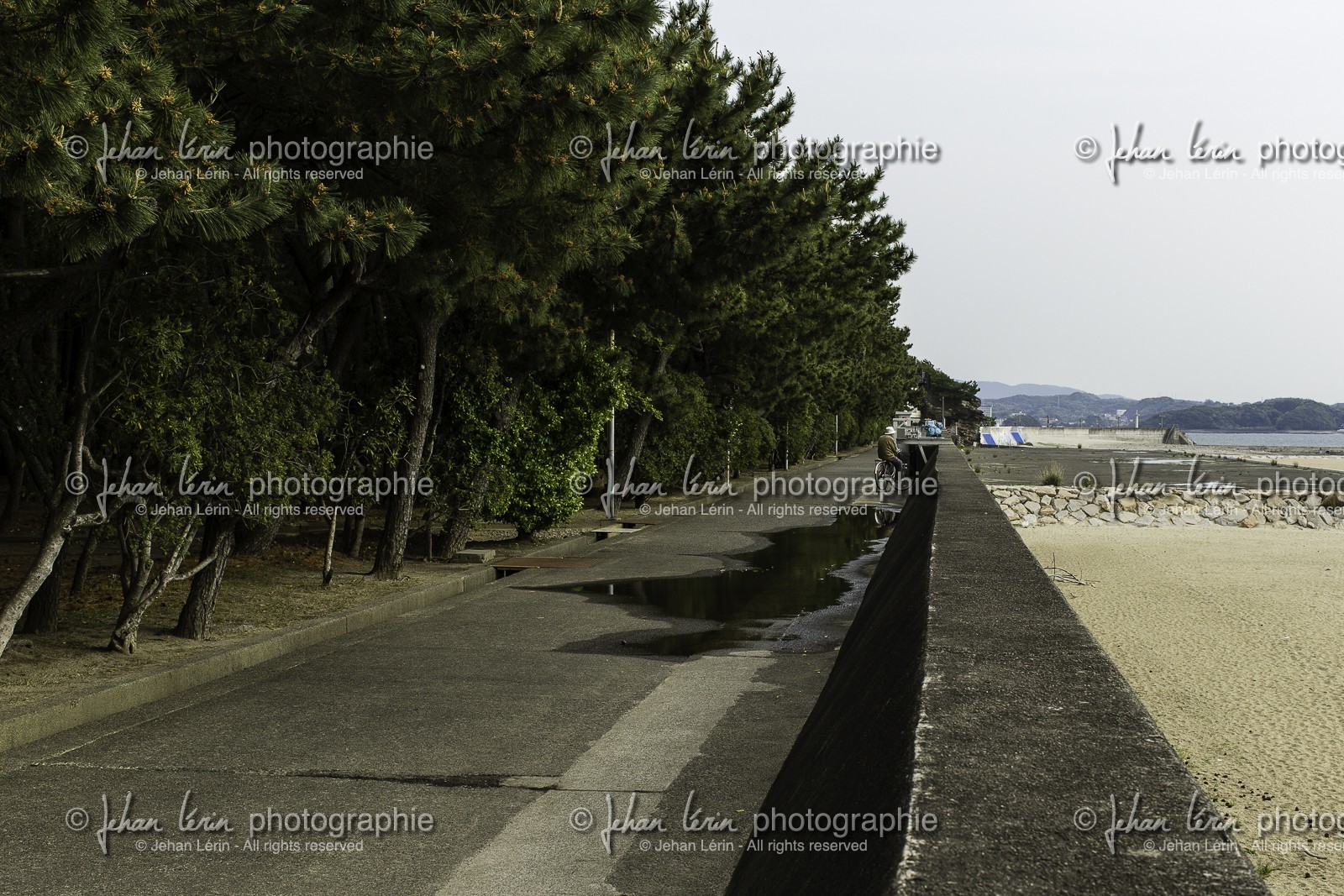 tanabe_kansai_japon_19-04-2014-5438.jpg