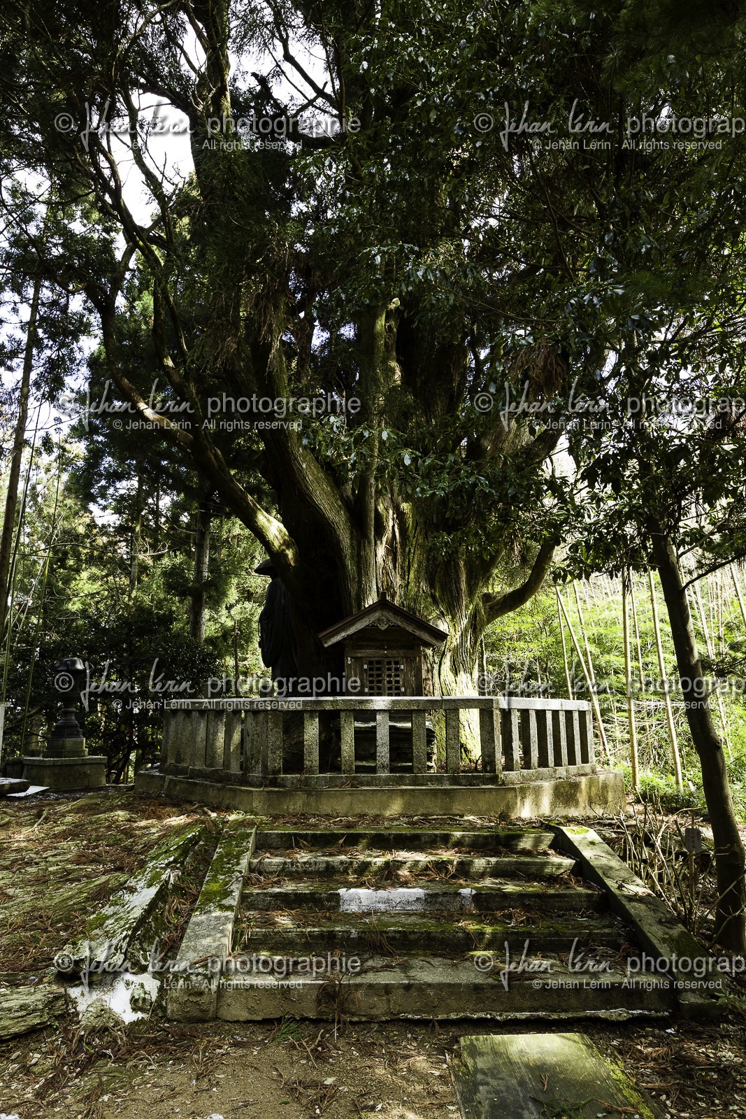 en-route-vers-le-temple-12_shikoku_japon_07-03_2014-0364.jpg