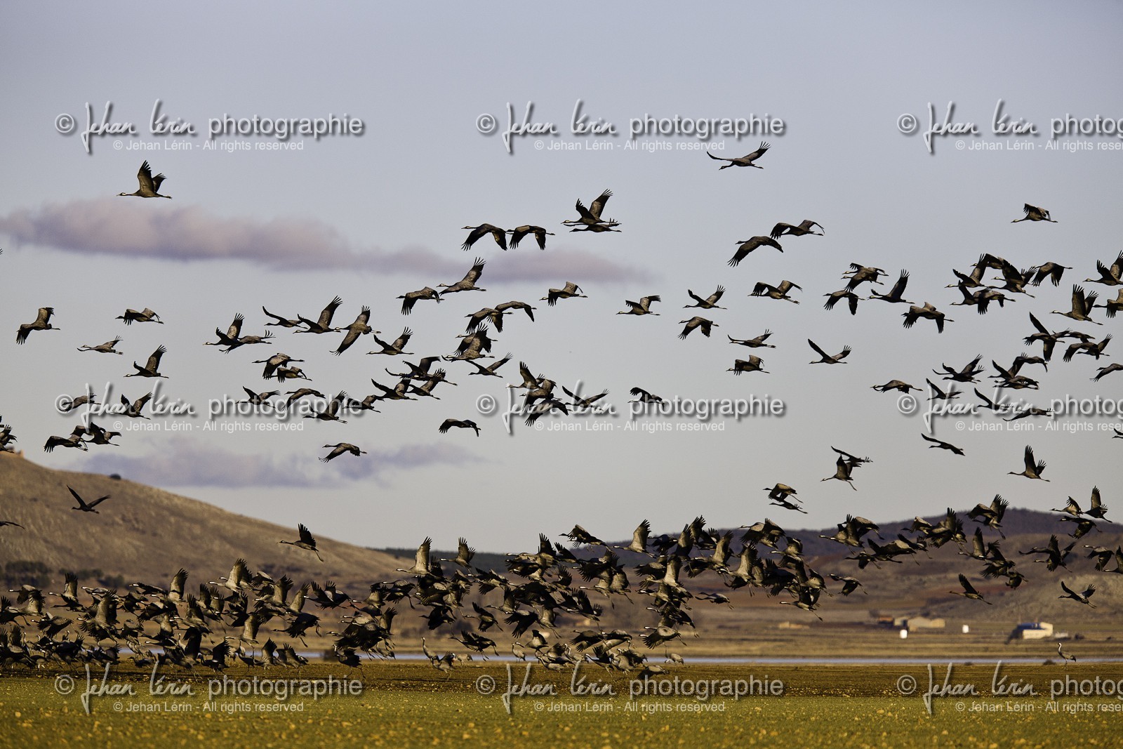 laguna-de-gallocanta_01-02-2011-8598.jpg