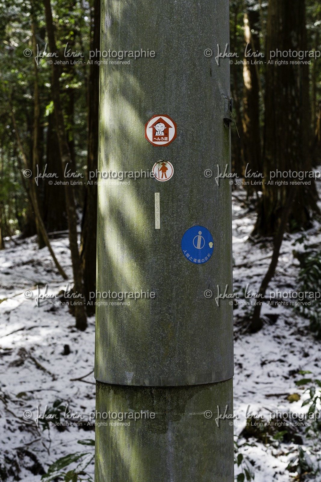 en-route-vers_kakurinji_temple-20_shikoku_japon_10-03_2014-2274.jpg