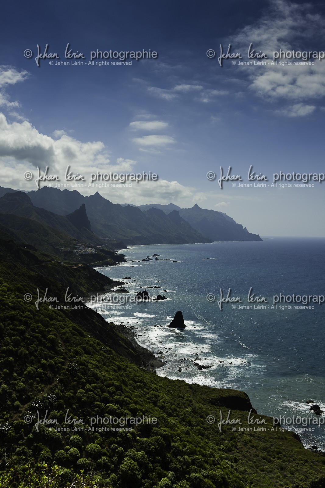 tenerife_avril_2010-0838.jpg