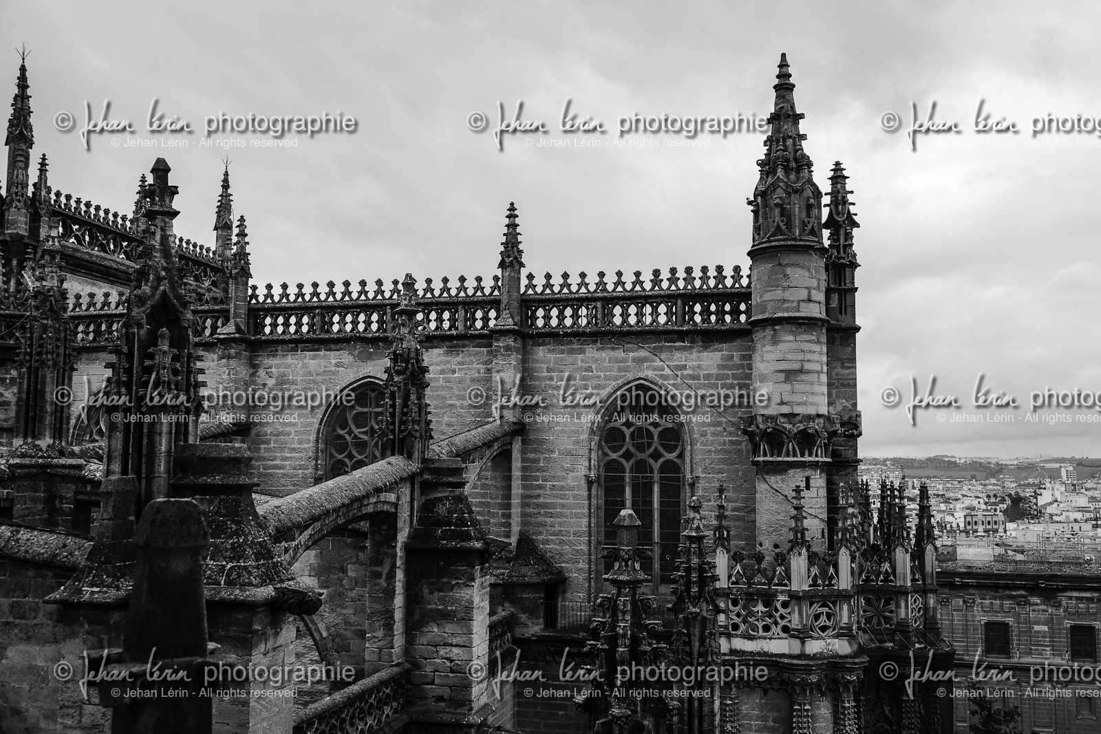 sevilla_19-01-2010-8005.jpg