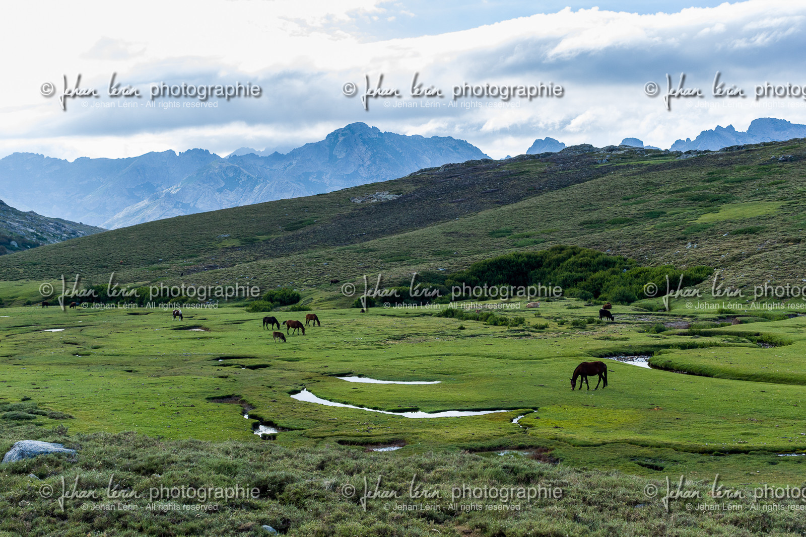 gr20_corse_jl_1dx_25-07-2016-0905.jpg