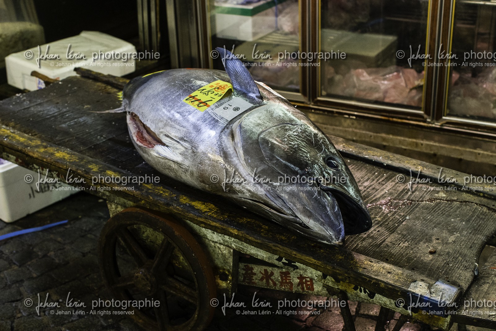 tsukiji-fish-market_tokyo_japon_jl_1dx_08-05-2014-6583.jpg
