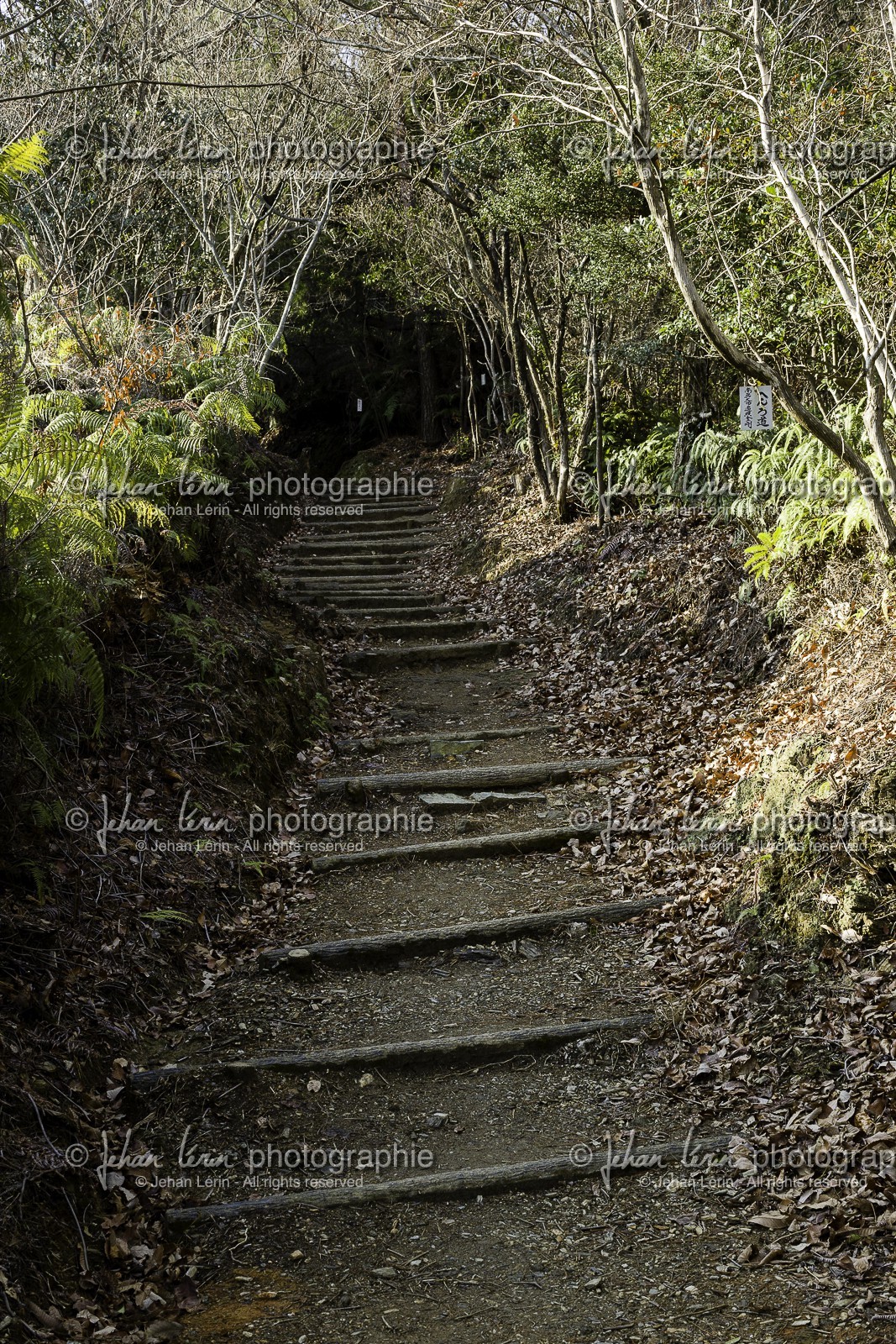 en-route-vers-le-temple-12_shikoku_japon_07-03_2014-1960.jpg