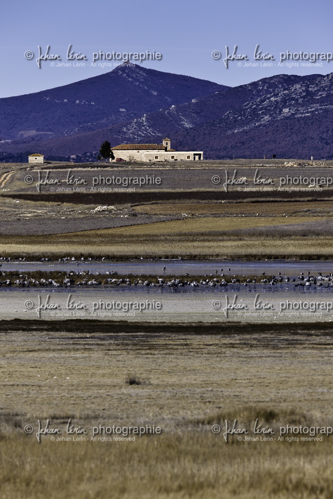 laguna-de-gallocanta_01-02-2011-8511.jpg